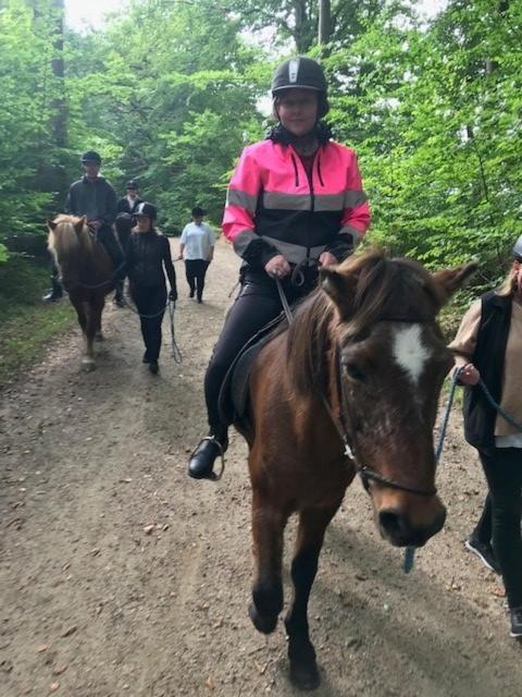 Dyrlundgaard Tilbyder Charmerende Ferielejlighed. Helsinge Zewnętrze zdjęcie